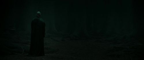 RdM2-Potterish_10271.jpg
