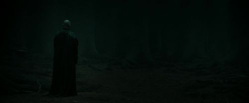 Click to view full size image
==============
RdM2-Potterish_10272.jpg RdM2-Potterish_10272.jpg