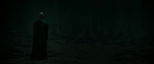 Click to view full size image
==============
RdM2-Potterish_10273.jpg RdM2-Potterish_10273.jpg