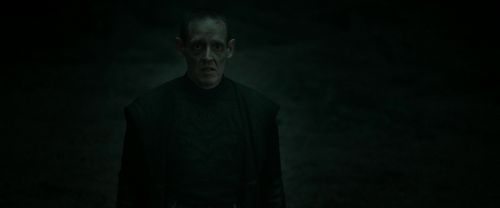 RdM2-Potterish_10298.jpg