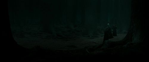 Click to view full size image
==============
RdM2-Potterish_10309.jpg RdM2-Potterish_10309.jpg