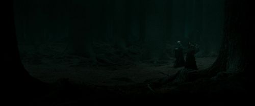 RdM2-Potterish_10311.jpg
