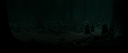 RdM2-Potterish_10314.jpg