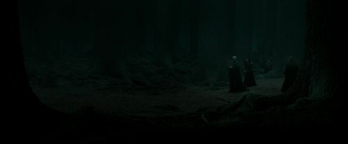 RdM2-Potterish_10315.jpg