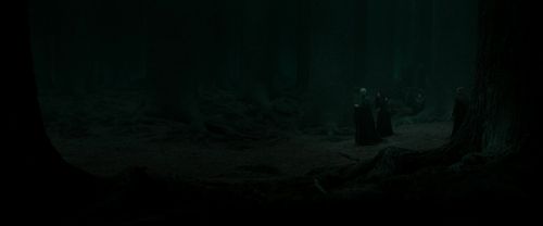 RdM2-Potterish_10317.jpg