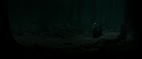 RdM2-Potterish_10318.jpg