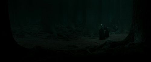 RdM2-Potterish_10319.jpg