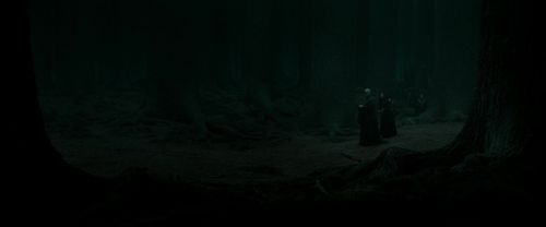RdM2-Potterish_10320.jpg