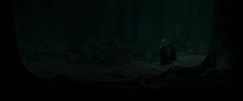 RdM2-Potterish_10321.jpg