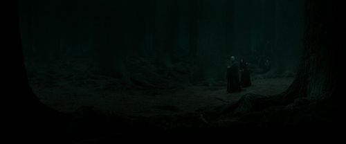 RdM2-Potterish_10322.jpg