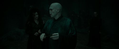 RdM2-Potterish_10329.jpg