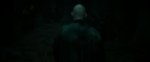 RdM2-Potterish_10355.jpg