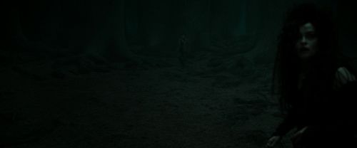 RdM2-Potterish_10372.jpg
