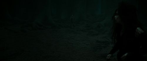 RdM2-Potterish_10373.jpg