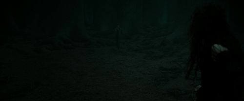 RdM2-Potterish_10374.jpg