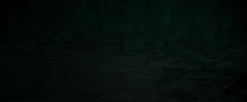RdM2-Potterish_10376.jpg