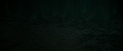 RdM2-Potterish_10378.jpg