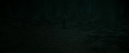 Click to view full size image
==============
RdM2-Potterish_10379.jpg RdM2-Potterish_10379.jpg