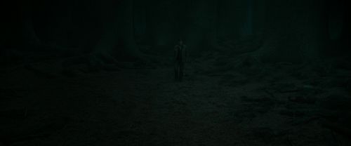 RdM2-Potterish_10380.jpg