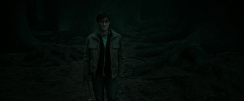 RdM2-Potterish_10397.jpg