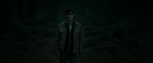 Click to view full size image
==============
RdM2-Potterish_10398.jpg RdM2-Potterish_10398.jpg
