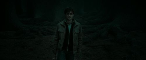 RdM2-Potterish_10399.jpg