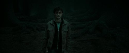 RdM2-Potterish_10400.jpg