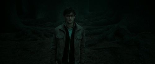 RdM2-Potterish_10401.jpg
