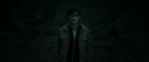 RdM2-Potterish_10402.jpg
