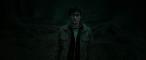 RdM2-Potterish_10403.jpg