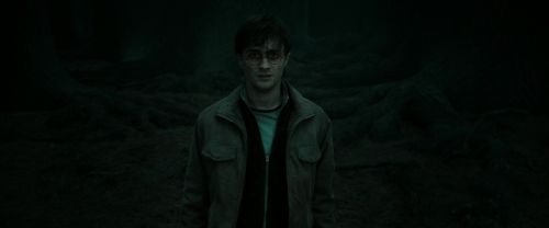 RdM2-Potterish_10404.jpg