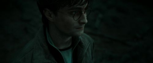 RdM2-Potterish_10427.jpg