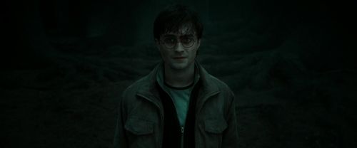 RdM2-Potterish_10443.jpg