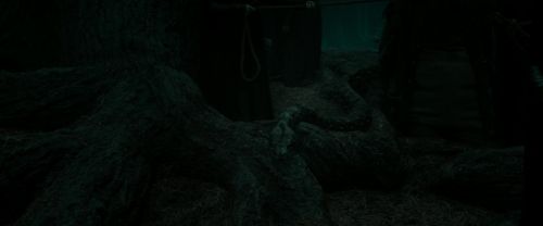 Click to view full size image
==============
RdM2-Potterish_10468.jpg RdM2-Potterish_10468.jpg