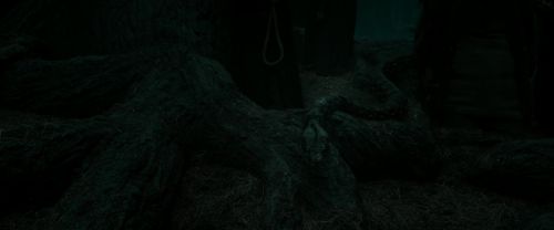 Click to view full size image
==============
RdM2-Potterish_10469.jpg RdM2-Potterish_10469.jpg