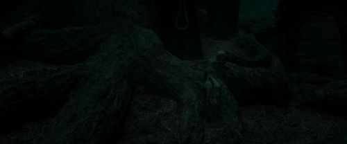RdM2-Potterish_10470.jpg