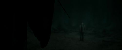 RdM2-Potterish_10477.jpg