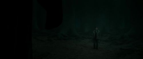 RdM2-Potterish_10479.jpg