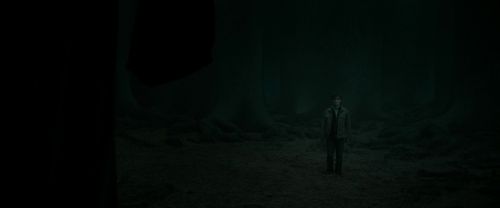 RdM2-Potterish_10480.jpg