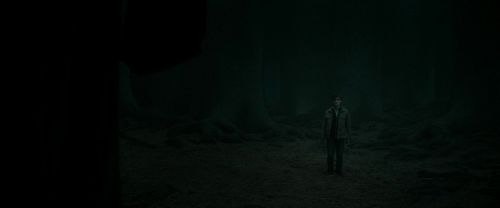 RdM2-Potterish_10481.jpg