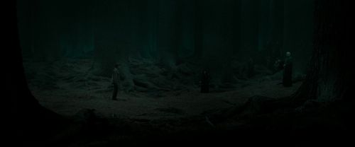 RdM2-Potterish_10483.jpg
