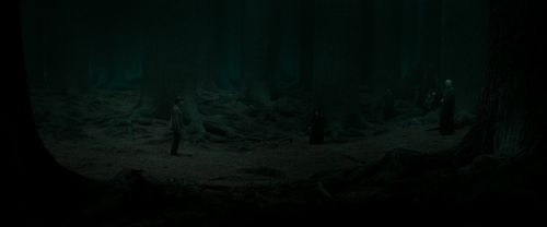 RdM2-Potterish_10486.jpg