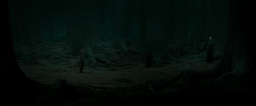 Click to view full size image
==============
RdM2-Potterish_10487.jpg RdM2-Potterish_10487.jpg