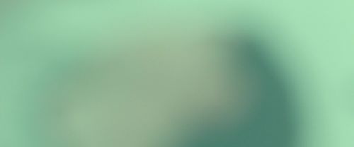 RdM2-Potterish_10516.jpg