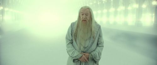 RdM2-Potterish_10945.jpg