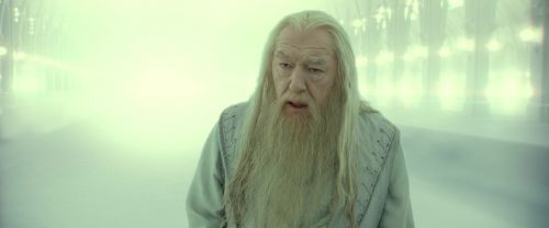 RdM2-Potterish_10957.jpg