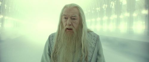 RdM2-Potterish_10959.jpg