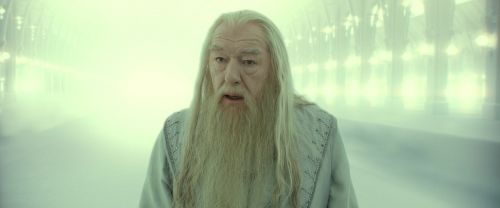 RdM2-Potterish_10960.jpg