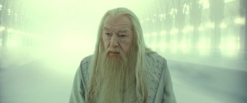 RdM2-Potterish_10961.jpg