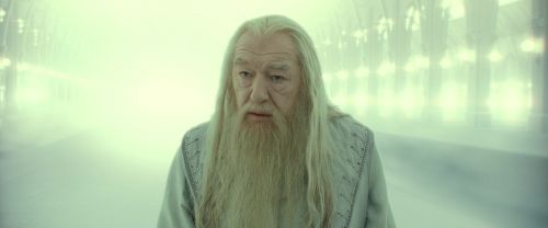RdM2-Potterish_10965.jpg